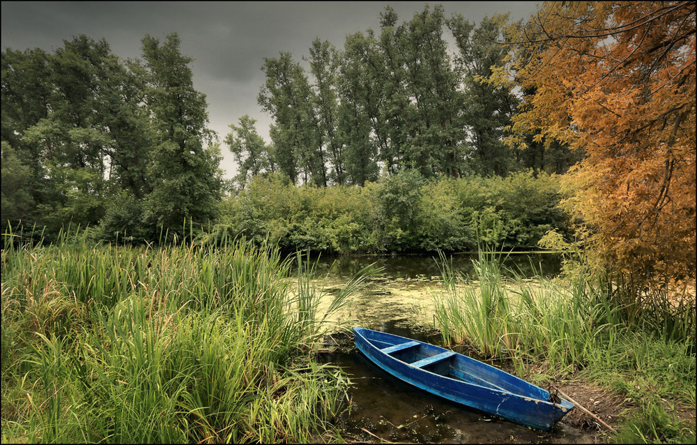 Фотографія ---= windy august =--- / Serg / photographers.ua