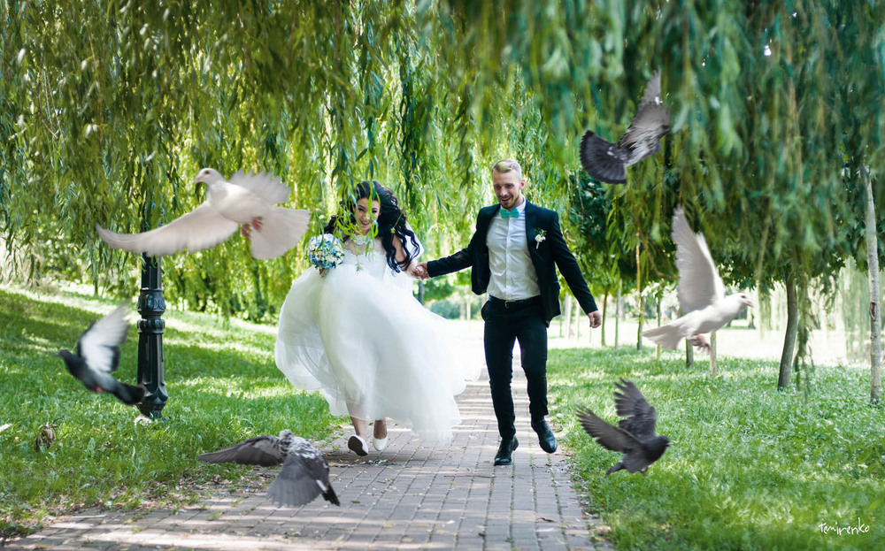 Фотографія Wedding Day. Dima & Dasha / Сергей ТЕМИРЕНКО / photographers.ua