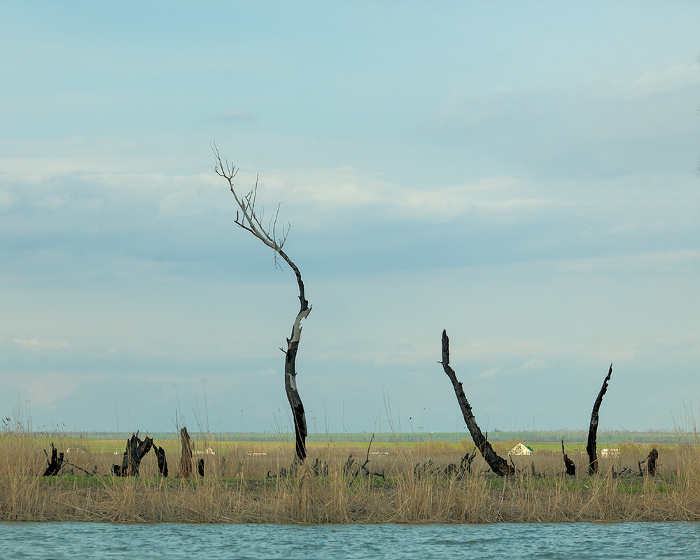 Фотографія Вода, земля, воздух и огонь. / Юрий Литвиненко / photographers.ua