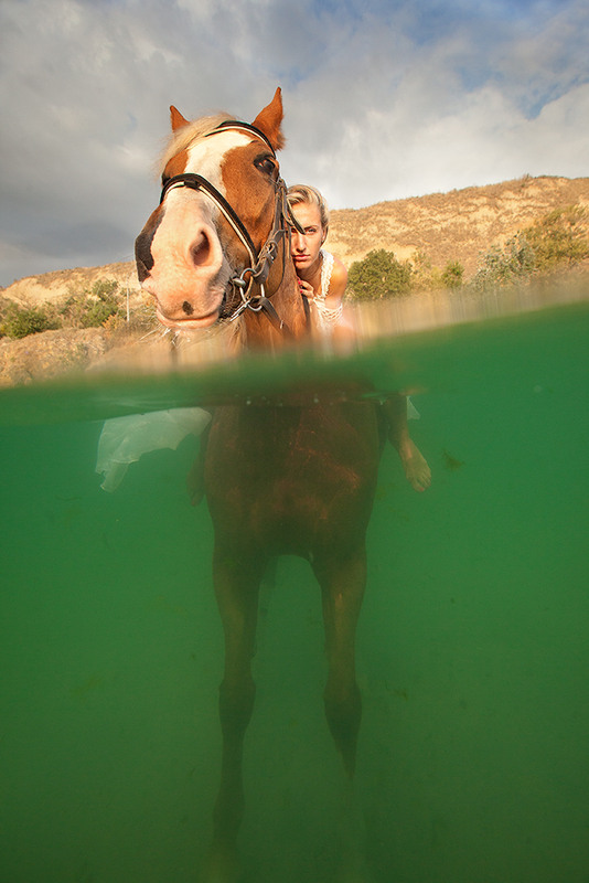 Фотографія Купание рыжего коня / Юрий Литвиненко / photographers.ua