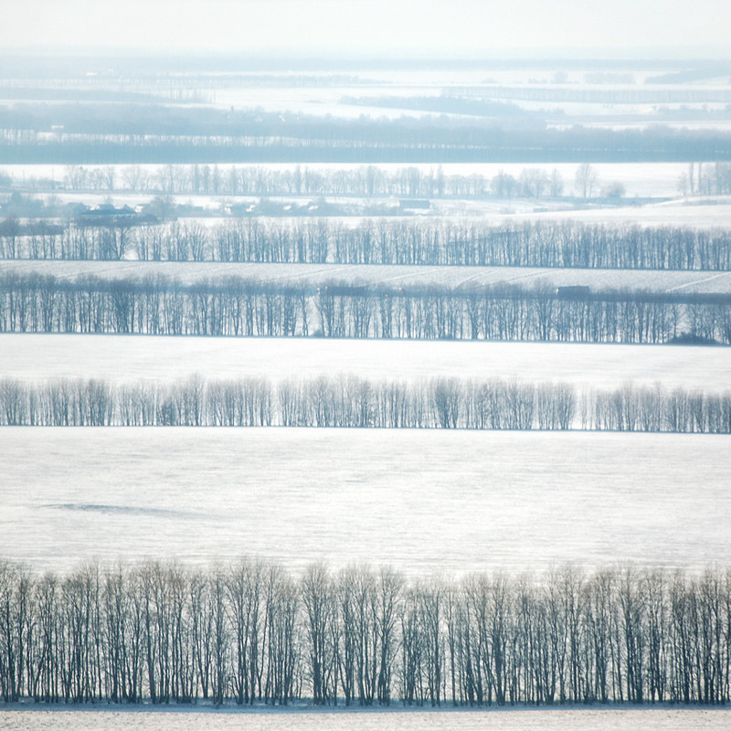 Фотографія И все терялось в снежной мгле... / Юрий Литвиненко / photographers.ua