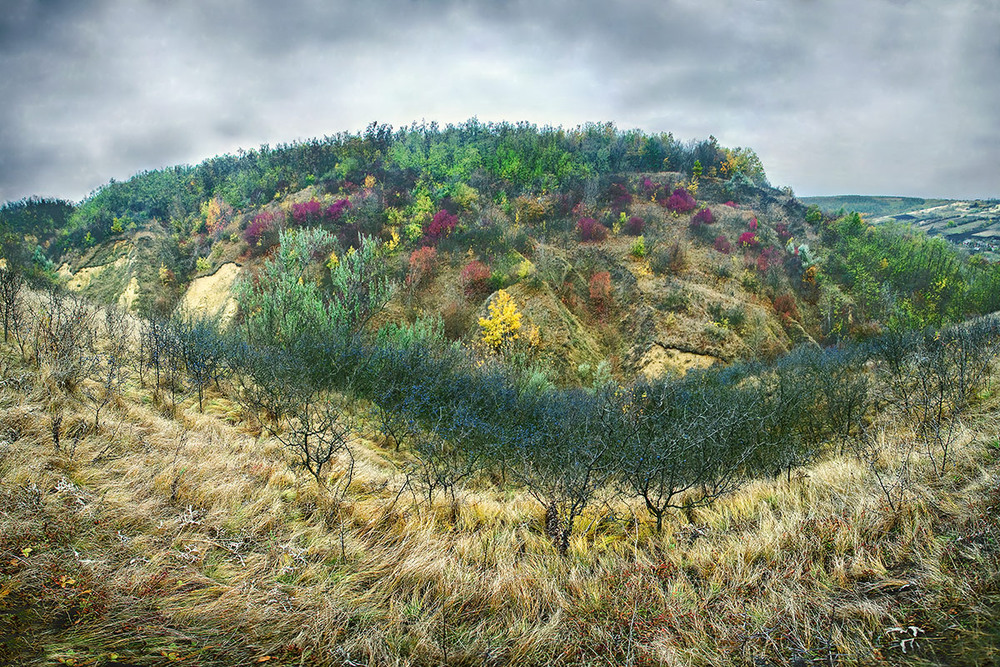 Фотографія Не гладок путь от земли к небу. / Юрий Литвиненко / photographers.ua