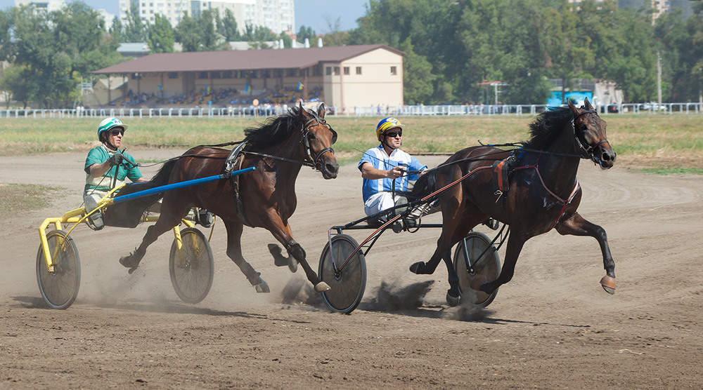 Фотографія Но только лошади летают вдохновенно. / Юрий Литвиненко / photographers.ua