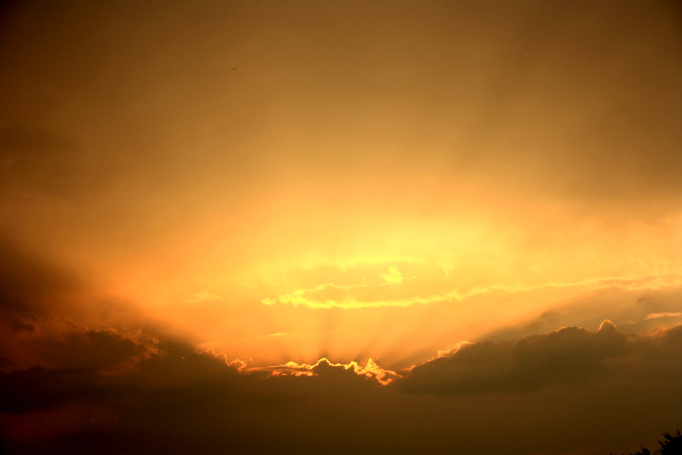 Фотографія Разное / РОМАН ДІДИК / photographers.ua