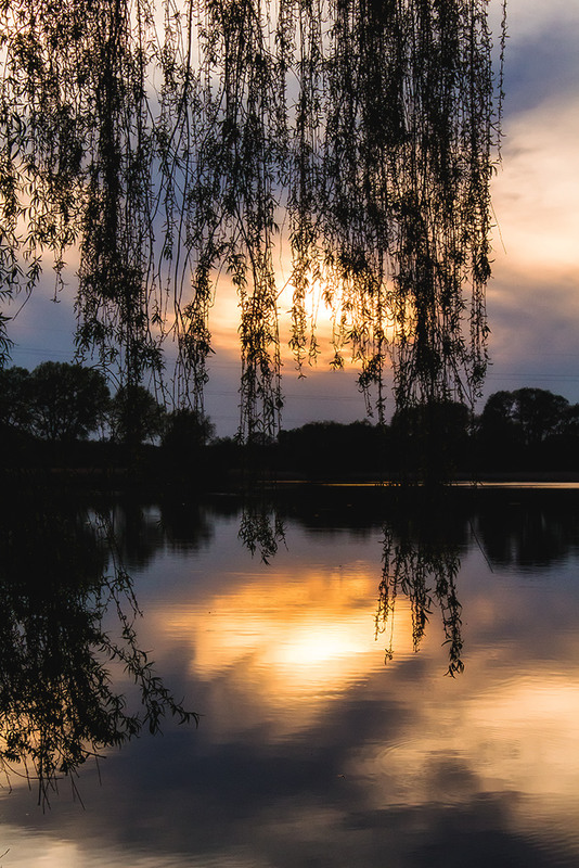 Фотографія . / Дмитрий Заверуха / photographers.ua