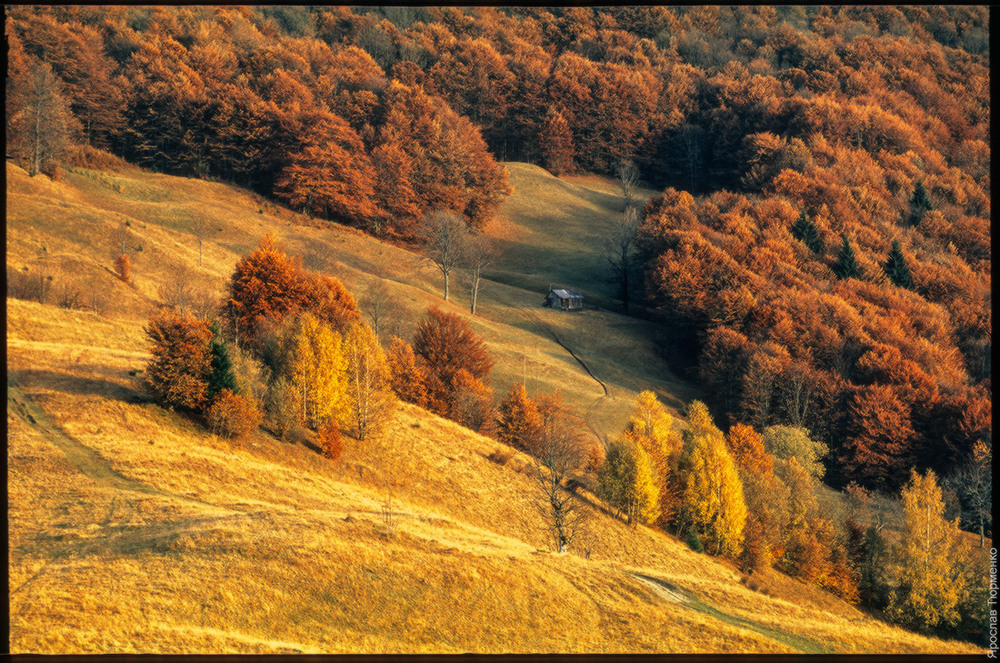 Фотографія Осіння Веснярка.. / Ярослав Тюрменко / photographers.ua