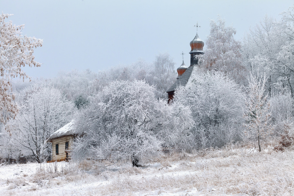 Фотографія *** / Ярослав Тюрменко / photographers.ua