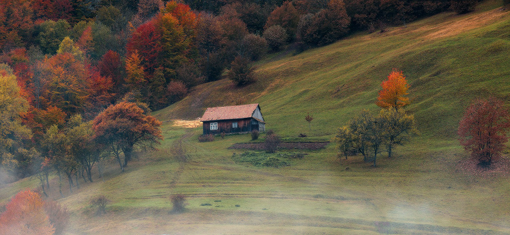 Фотографія *** / Ярослав Тюрменко / photographers.ua