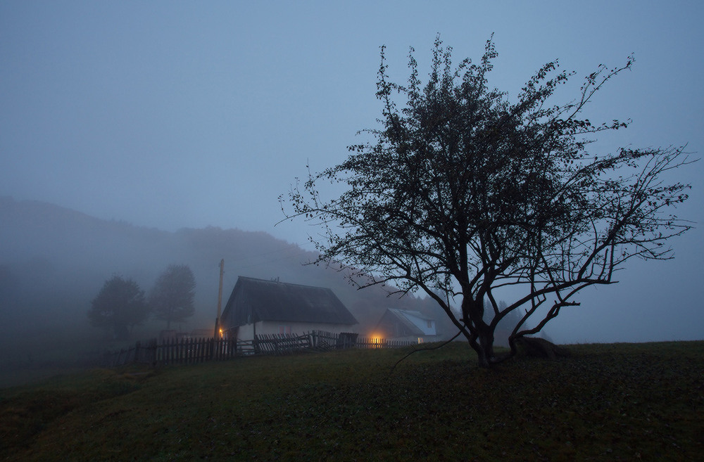 Фотографія У ранковому тумані... / Ярослав Тюрменко / photographers.ua