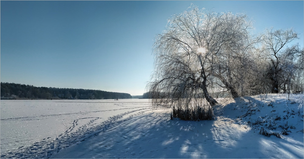 Фотографія Мороз та сонце ... / Евгений Шуляковский / photographers.ua