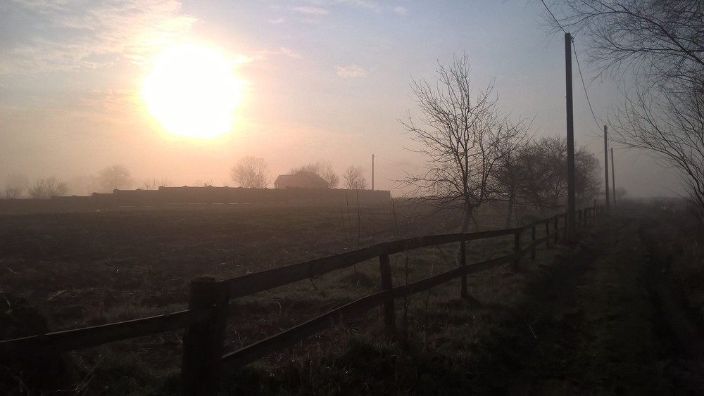 Фотографія Утро с туманом / Денис / photographers.ua