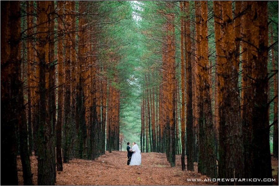 Фотографія Wedding 1 / AndrewStarikov / photographers.ua