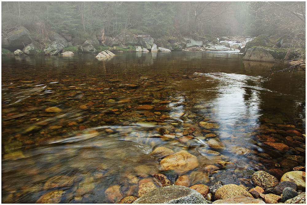 Фотографія тихий шепот воды... / Oleg Dmitriev / photographers.ua