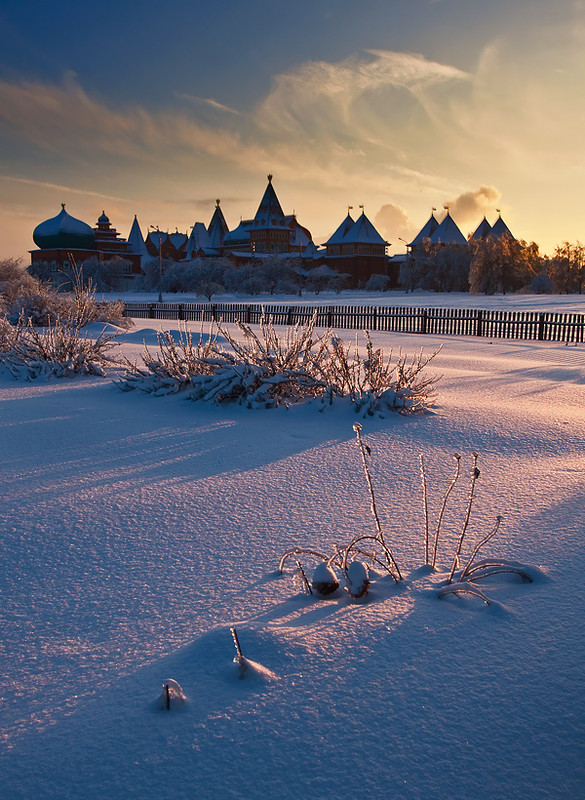 Фотографія зимняя песня / Oleg Dmitriev / photographers.ua