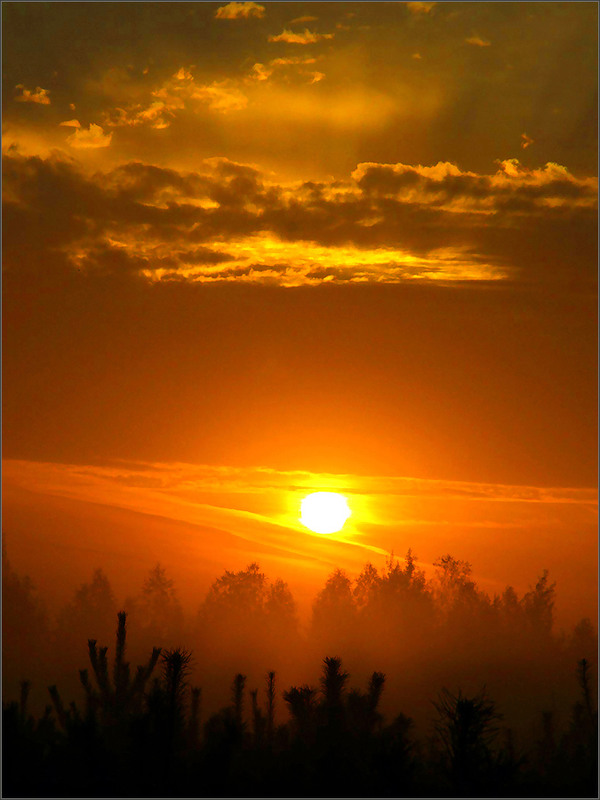 Фотографія Загорелось утреннее небо... / Владимир Билюк / photographers.ua