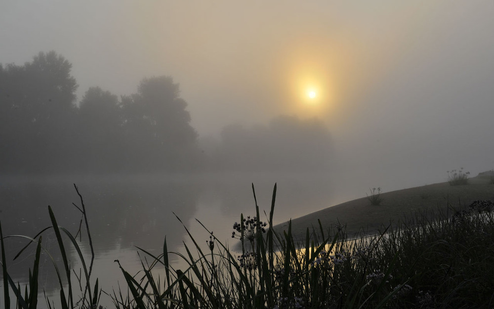Фотографія *** / Oleg Fedorovych / photographers.ua