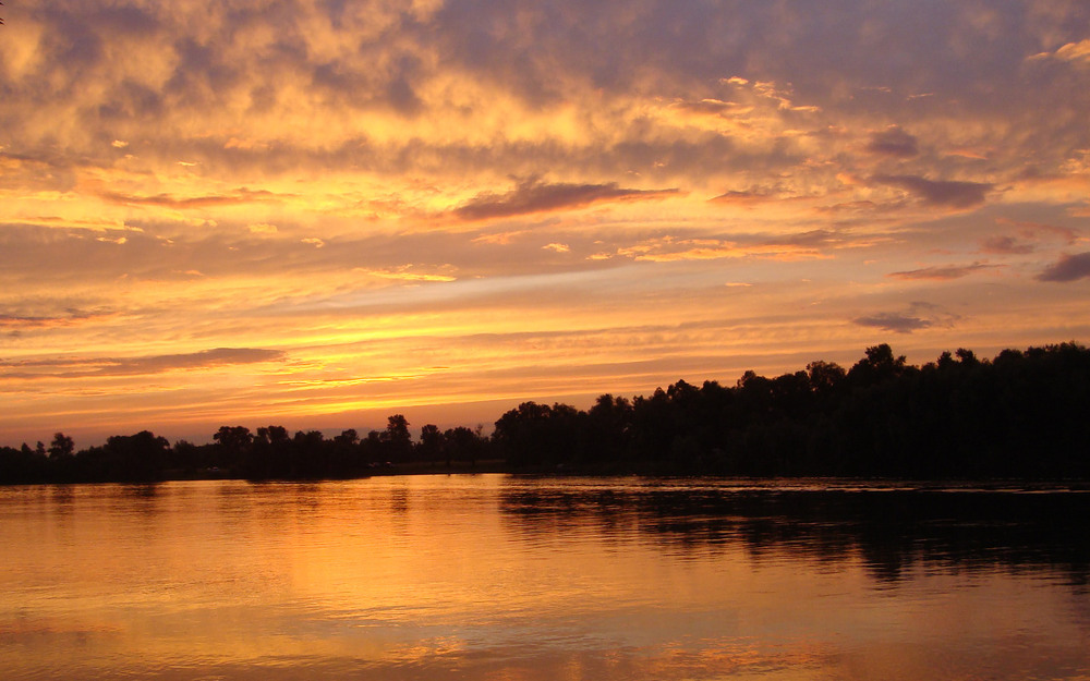 Фотографія *** / Oleg Fedorovych / photographers.ua