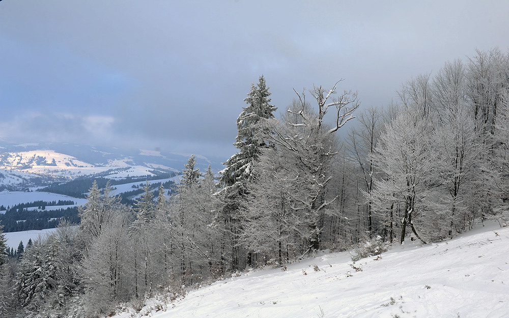 Фотографія Новорічні Карпати / Oleg Fedorovych / photographers.ua