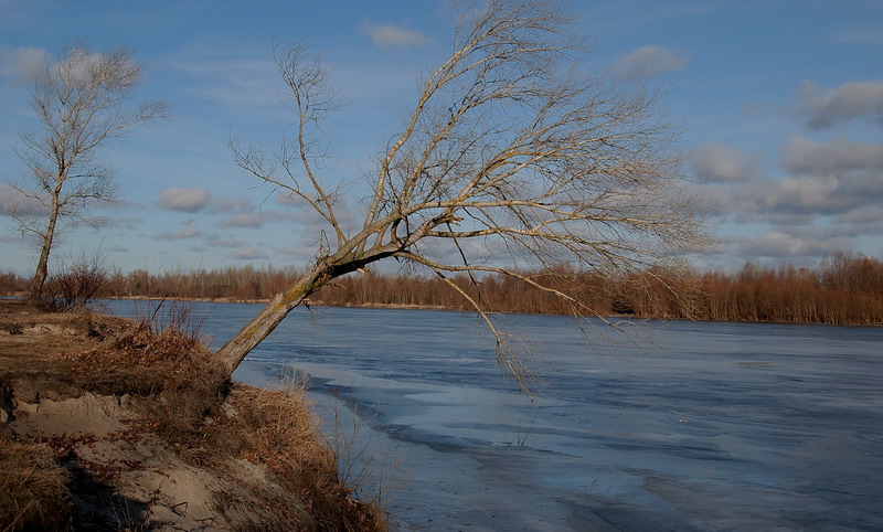 Фотографія *** / Oleg Fedorovych / photographers.ua