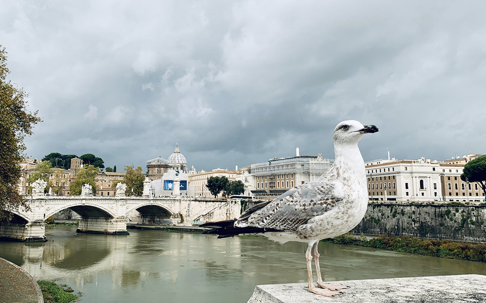 Фотографія Римські замальовки / Oleg Fedorovych / photographers.ua