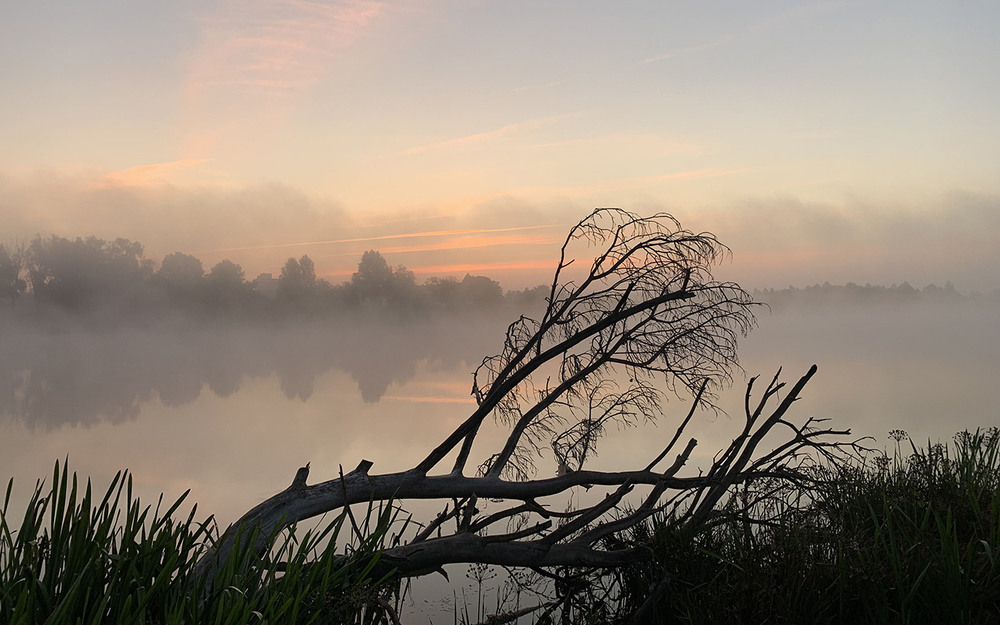 Фотографія осінній ранок / Oleg Fedorovych / photographers.ua