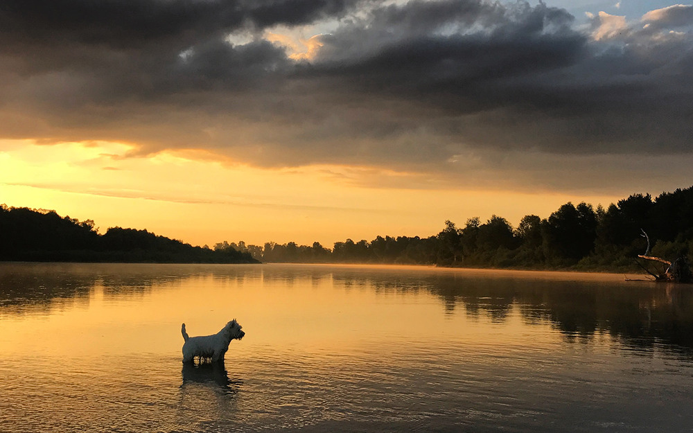 Фотографія *** / Oleg Fedorovych / photographers.ua
