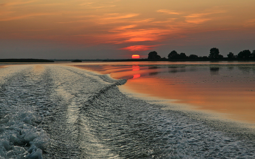 Фотографія *** / Oleg Fedorovych / photographers.ua