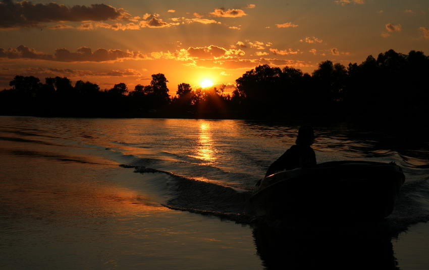 Фотографія *** / Oleg Fedorovych / photographers.ua