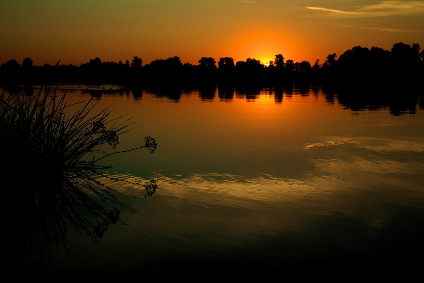 Фотографія *** / Oleg Fedorovych / photographers.ua