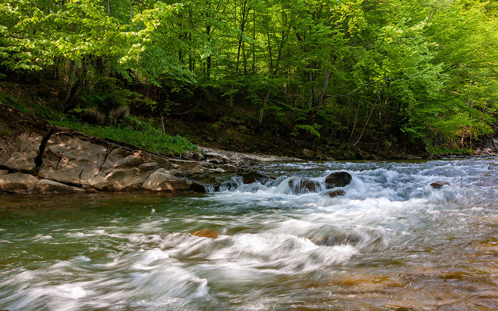 Фотографія Рідні Карпати / Oleg Fedorovych / photographers.ua