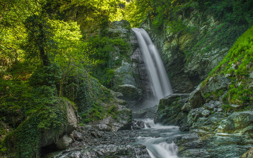 Фотографія *** / Oleg Fedorovych / photographers.ua