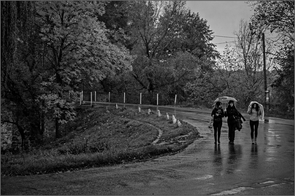 Фотографія Просто идет дождь... / Vadym / photographers.ua