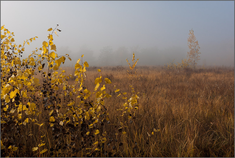 Фотографія В осеннем тумане. / Vadym / photographers.ua