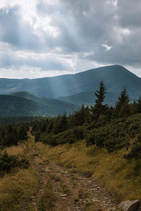 Фотографія Где-то там солнце греет землю / Максим Сагайдак / photographers.ua