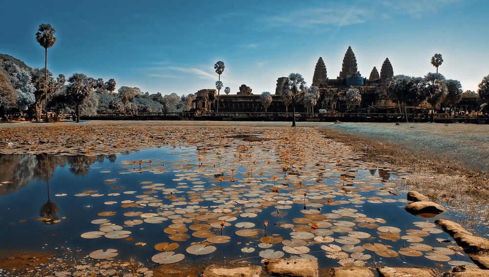 Фотографія Храм Ангкор-Ват (Angkor Wat) Сіемреап (місто), Камбоджа / Анатоль Тишкевич / photographers.ua