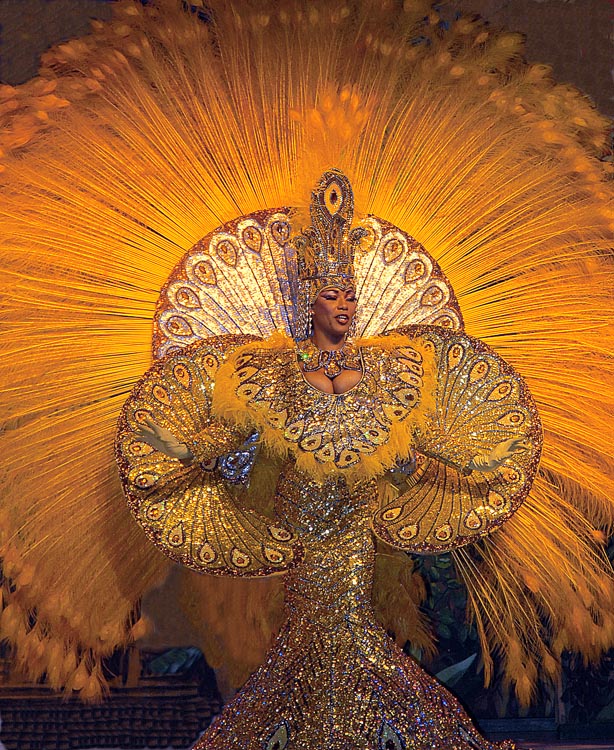 Фотографія Принцеса карнавала ночного шоу в Рио-де-Жанейро, Бразилия / Анатоль Тишкевич / photographers.ua
