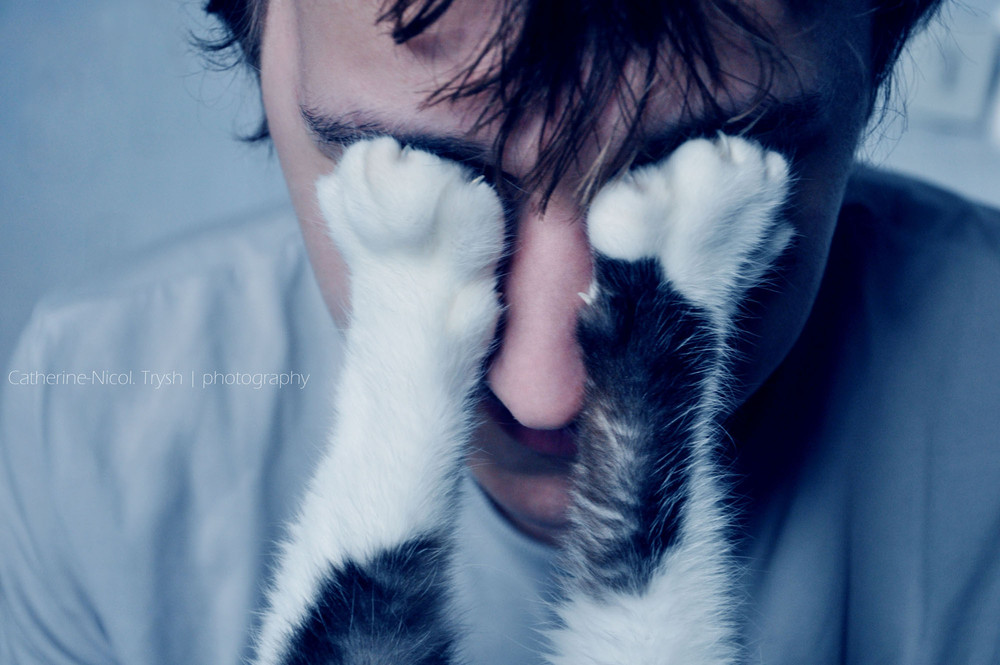 Фотографія cat's feet / Екатерина Триш / photographers.ua