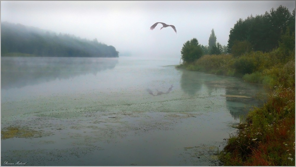Фотографія Ранним утром на озере / Роман Медвидь / photographers.ua