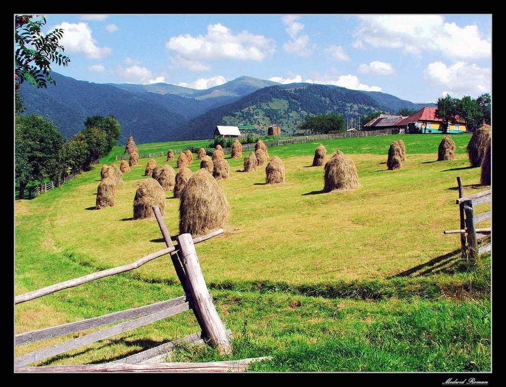 Фотографія Жизнь среди Карпатских гор / Роман Медвидь / photographers.ua