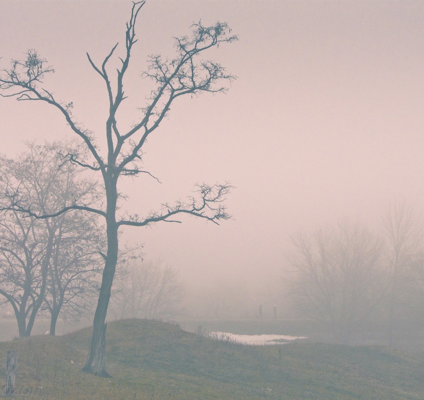 Фотографія туман / Евгений Коваль / photographers.ua
