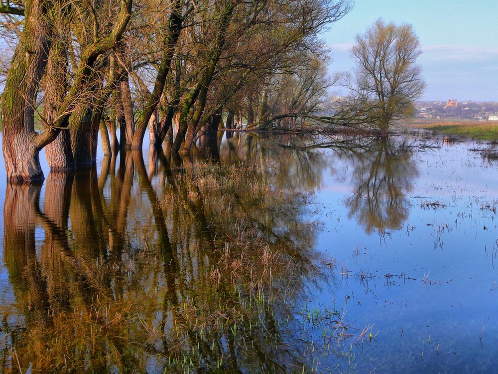 Фотографія spring reflections / Евгений Коваль / photographers.ua