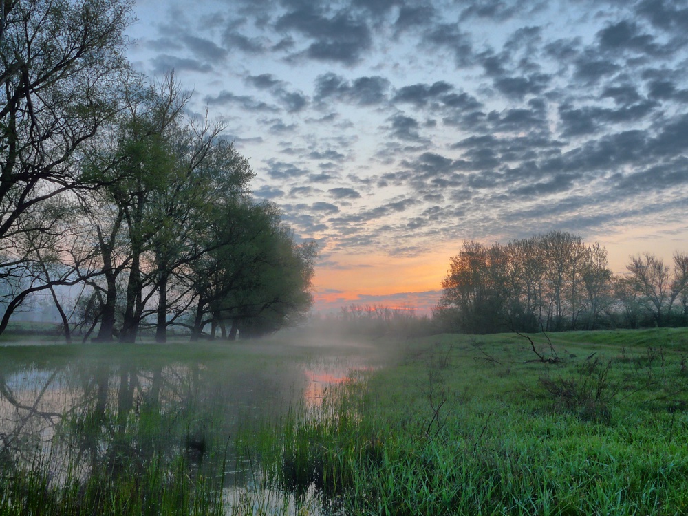 Фотографія *** / Евгений Коваль / photographers.ua