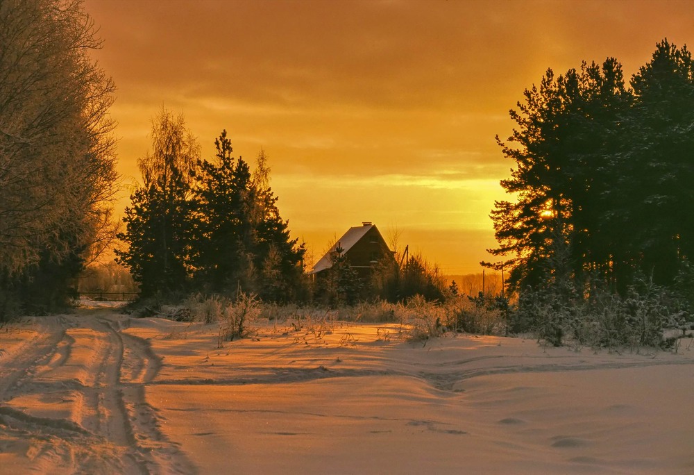 Фотографія Зимнее утро / Vladimir Falin / photographers.ua