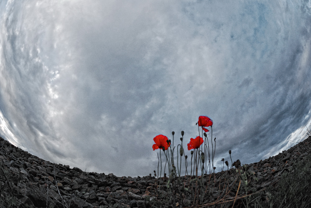 Фотографія про одиночество / Антон Лиховидов / photographers.ua