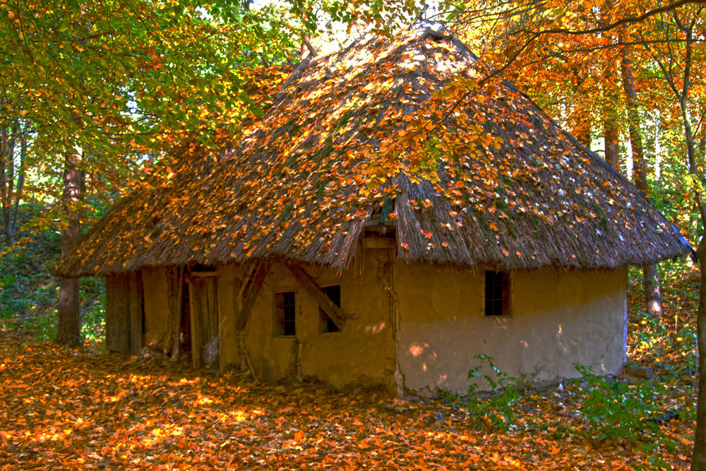 Фотографія Батьківська хата / Vlodko Lotysh / photographers.ua