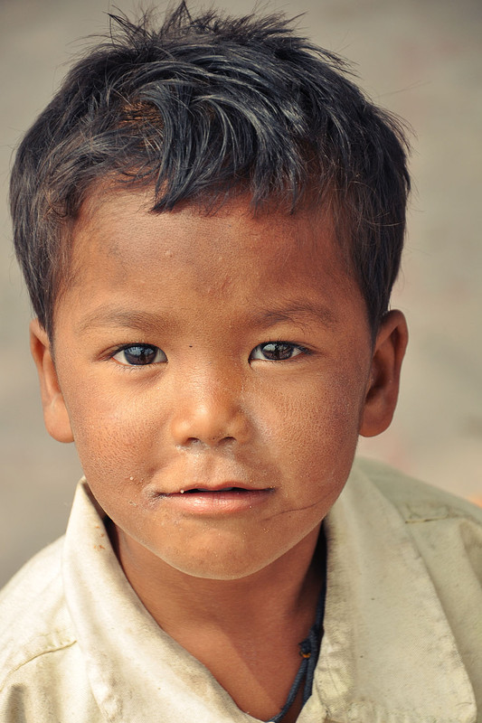 Фотографія Бездомный, но счастливый / Irina Babenko / photographers.ua