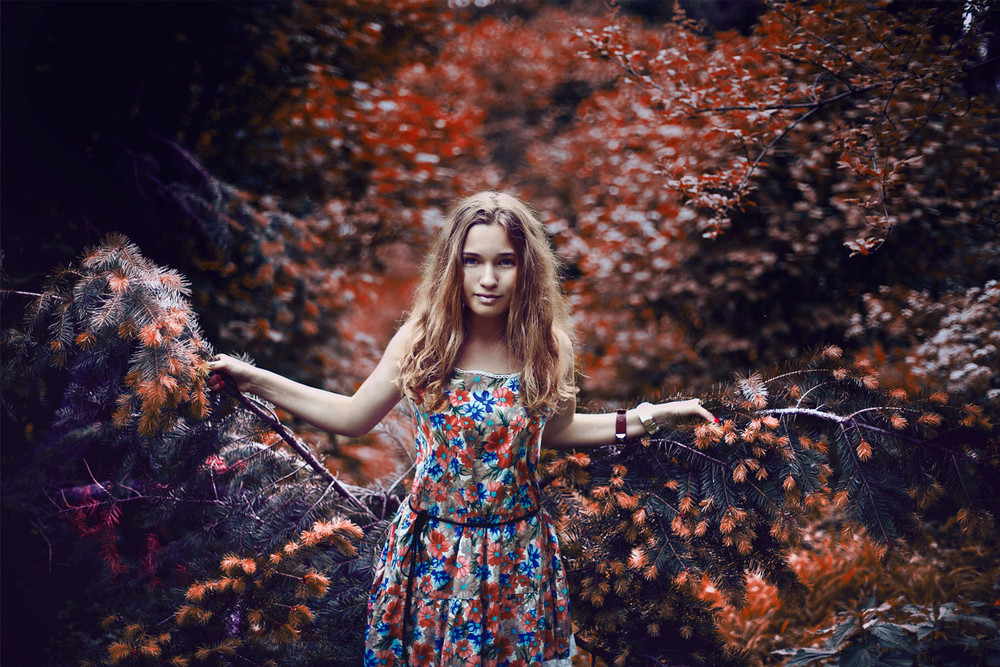 Фотографія Forest princess / Анастасия Харченко / photographers.ua