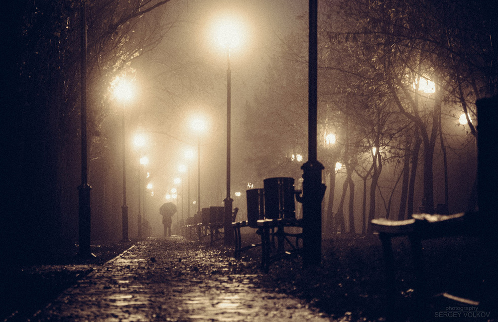Фотографія Ночь, улица, фонарь... не, не, не - Утро, бульвар, туман. / Сергей Волков / photographers.ua