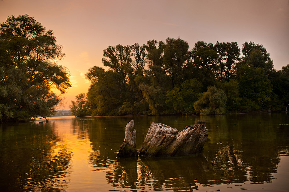 Фотографія *** / Den_M / photographers.ua