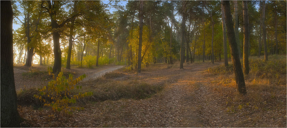 Фотографія Осенними тропами... / Наталия Шинкаренко / photographers.ua